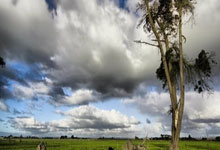 【肇庆：西江屏障下的防疫挑战与精准应对】