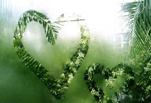 【肇庆：西江屏障下的防疫挑战与精准应对】