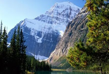 定远县新增1例无症状感染者  定远县疫情防控最新通报_9020