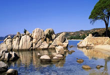 定远县新增1例无症状感染者  定远县疫情防控最新通报_9020